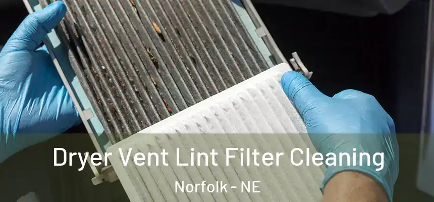 Dryer Vent Lint Filter Cleaning Norfolk - NE