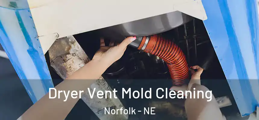 Dryer Vent Mold Cleaning Norfolk - NE