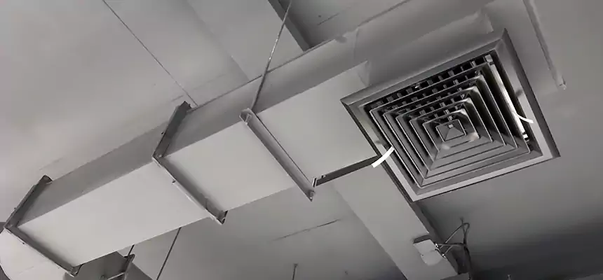 Our Pest Removal From Ducts Services in Norfolk, NE