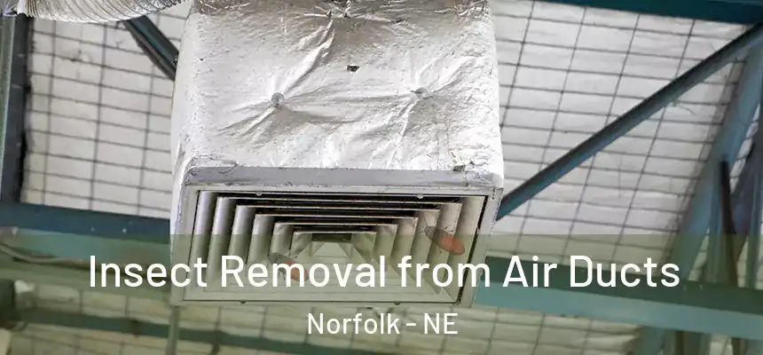  Insect Removal from Air Ducts Norfolk - NE
