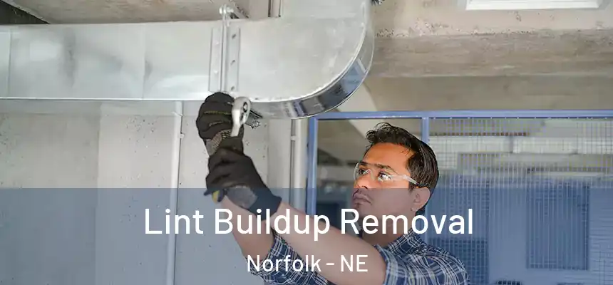  Lint Buildup Removal Norfolk - NE