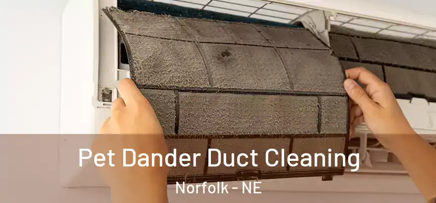  Pet Dander Duct Cleaning Norfolk - NE