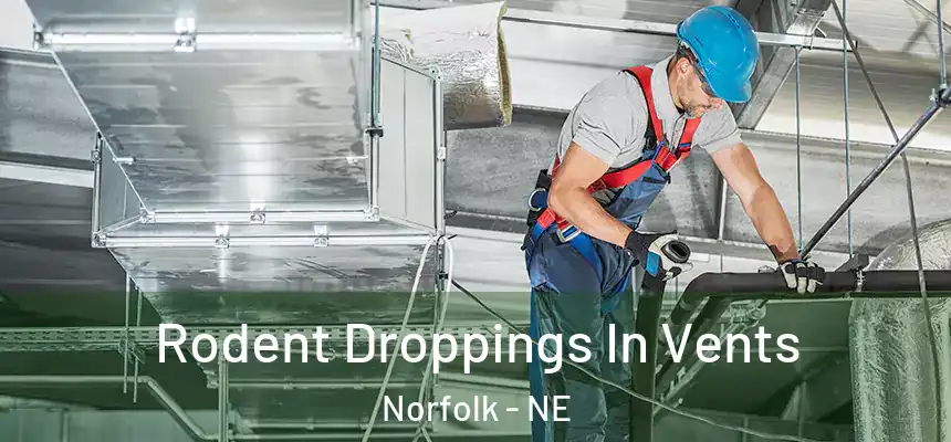  Rodent Droppings In Vents Norfolk - NE