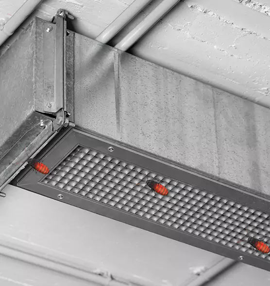 About Air Duct Cockroach Removal in Norfolk, NE