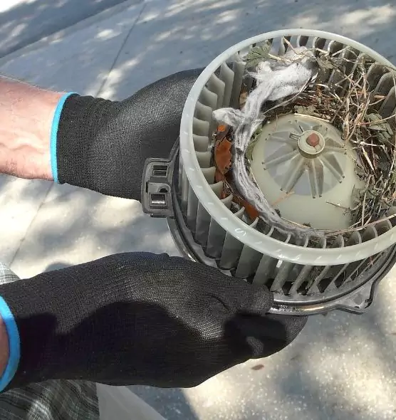 About Air Duct Rat Removal in Norfolk, NE