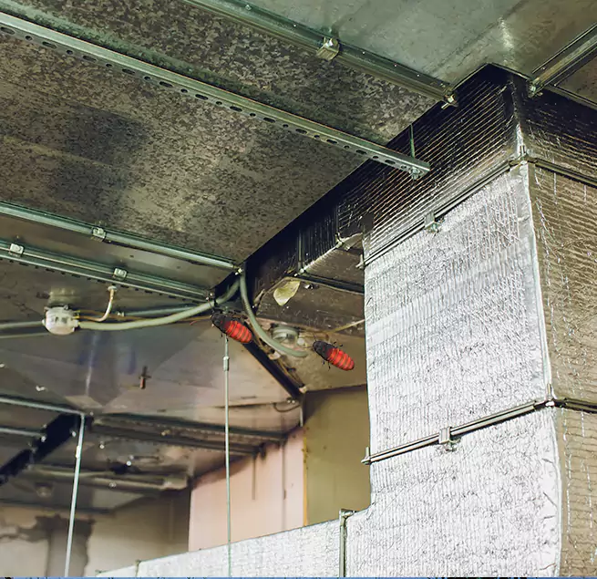 Why Homeowners & Businesses Trust Us in Norfolk, NE?