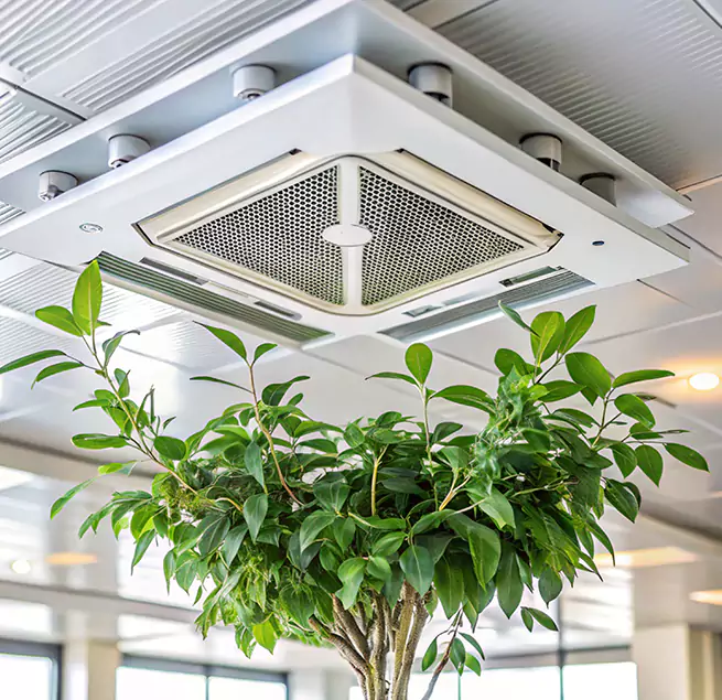 Why Homeowners & Businesses Trust Us in Norfolk, NE?